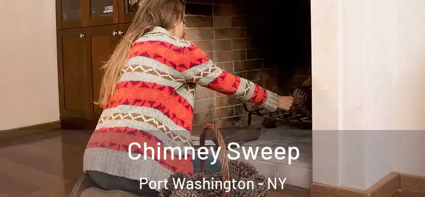  Chimney Sweep Port Washington - NY