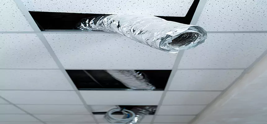 Affordable HVAC Sanitizing After Pest Removal in Port Washington