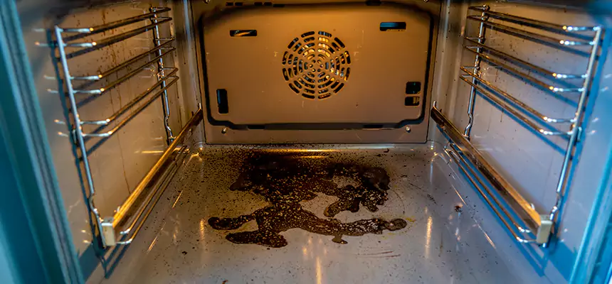 Our Dryer Vent Mold Cleaning Services in Port Washington, NY