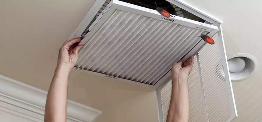 Our Insect Removal from Air Ducts Services in Port Washington, NY