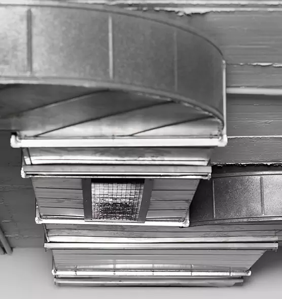 Professional Air Duct Pest Removal in Port Washington, NY