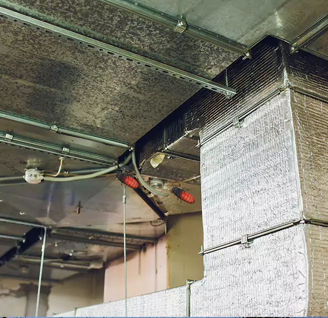 Why Homeowners & Businesses Trust Us in Port Washington, NY?