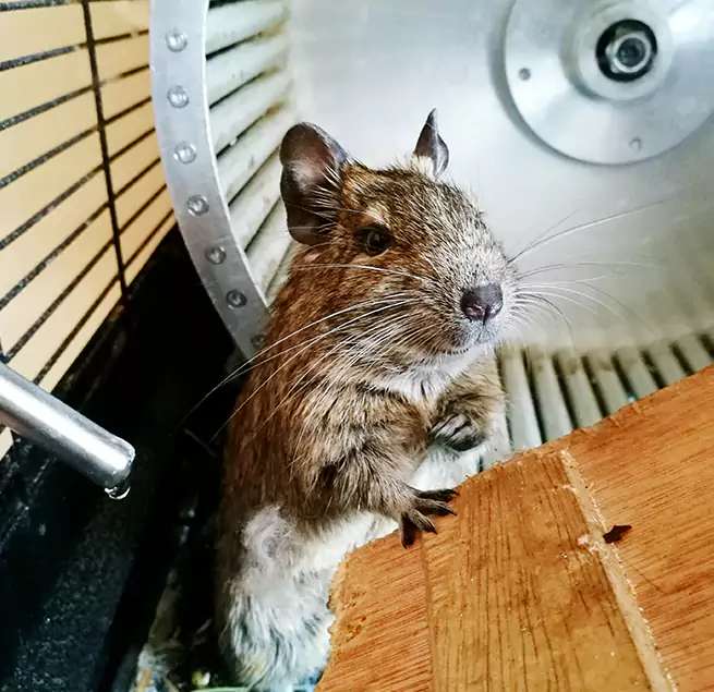 Why Homeowners & Businesses Trust Us Port Washington, NY?