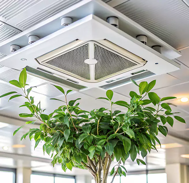 Why Homeowners & Businesses Trust Us in Port Washington, NY?